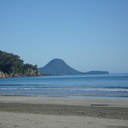 Beachfront Bliss Ohope Екстер'єр фото